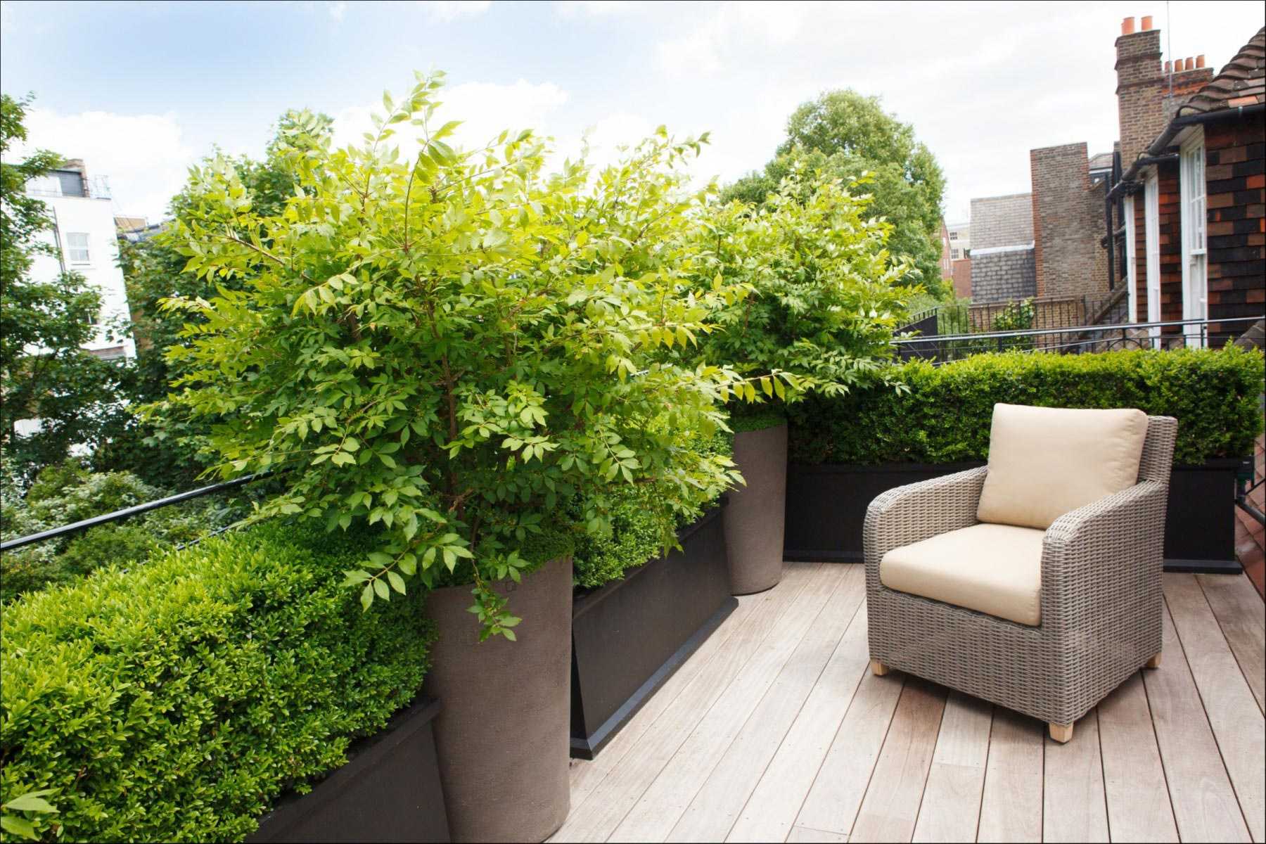 Озеленение балкона своими руками: создайте уютную зеленую оазис в городской среде