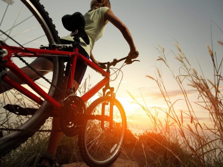 Велосипед — путь к здоровью и удовольствию: как двухколесный друг меняет жизнь к лучшему