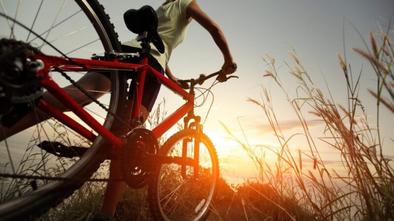 Велосипед — путь к здоровью и удовольствию: как двухколесный друг меняет жизнь к лучшему